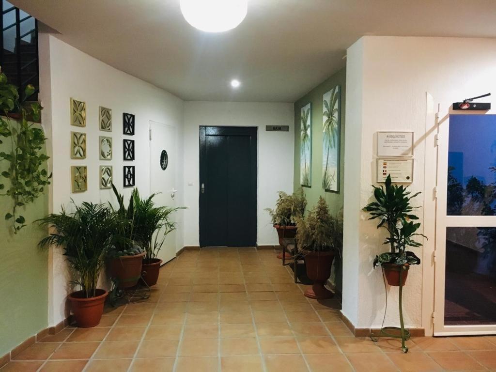 Apartament Manilva Playa Zewnętrze zdjęcie